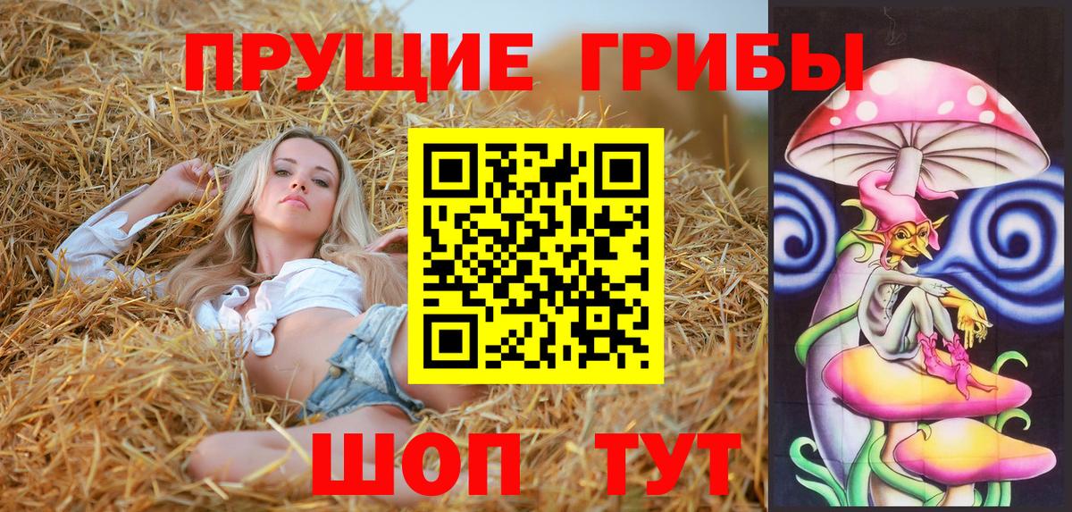Кисловодск  Галлюциногенные грибы Magic Shrooms  наркошоп  Вход с VPN  Псилоцибиновые грибы MAGIC MUSHROOMS 