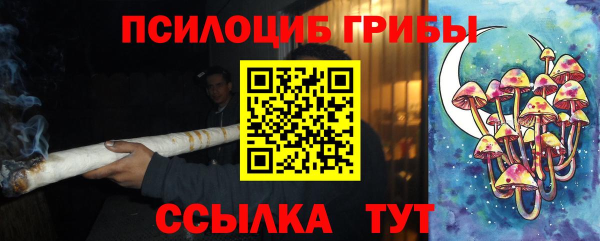 Псилоцибиновые грибы мицелий Кисловодск