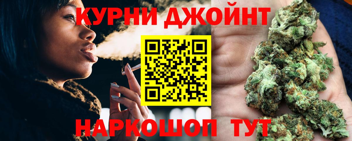 Конопля план Кисловодск